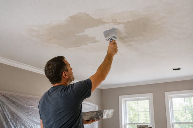 Attic Water Damage Repair in Denver County, CO
