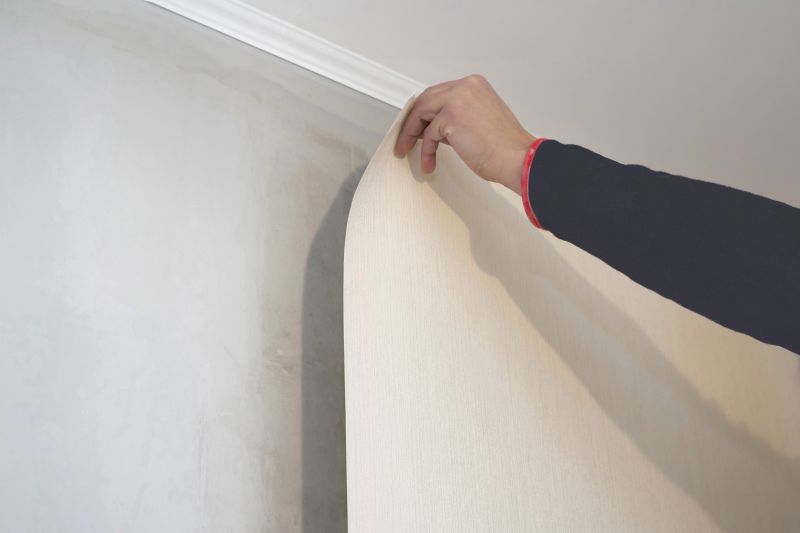 Wall Panel Repair